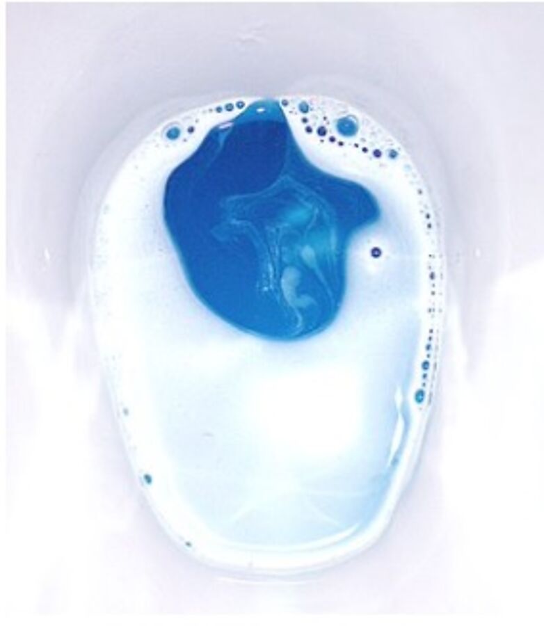 GAMAZYME TDS 5 KG BLUE SACH W/MINT